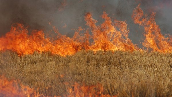 Стародубским аграриям напомнили о пожарной безопасности во время зерноуборочной компании