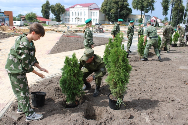 В Стародубе высадили туи в сквере «40 лет Победы»