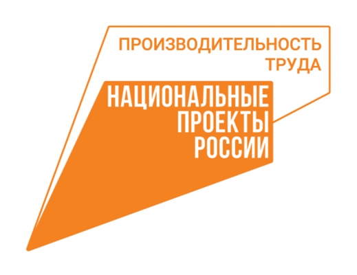 Еще два предприятия Брянщины  подвели первые итоги внедрения Бережливого производства в рамках нацпроекта «Производительность труда»