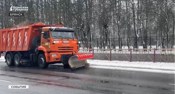 Дорожные службы Брянской области из-за обильных снегопадов аврально переоснастили технику