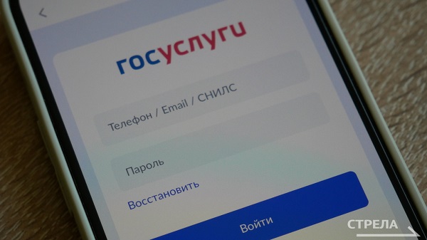 Жителям Брянщины в решении бытовых вопросов помогает приложение «Госуслуги.Дом»