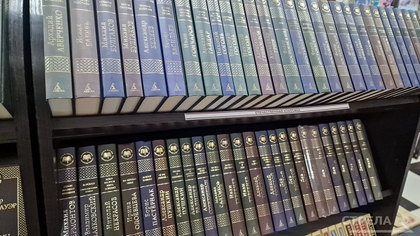 В Белых Берегах Брянской области по нацпроекту модернизируют детскую библиотеку