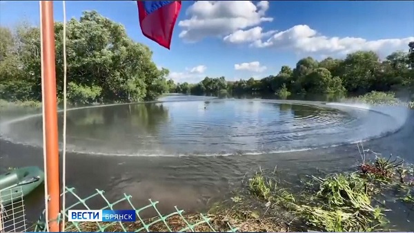 В Брянске прошли Всероссийские соревнования по судомодельному спорту