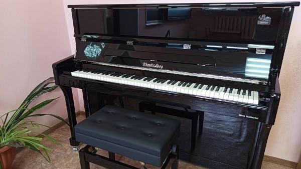 В Дубровскую ДШИ доставили новые музыкальные инструменты и оборудование