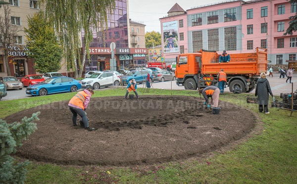 В Брянске под зиму посадят более 105 тысяч тюльпанов
