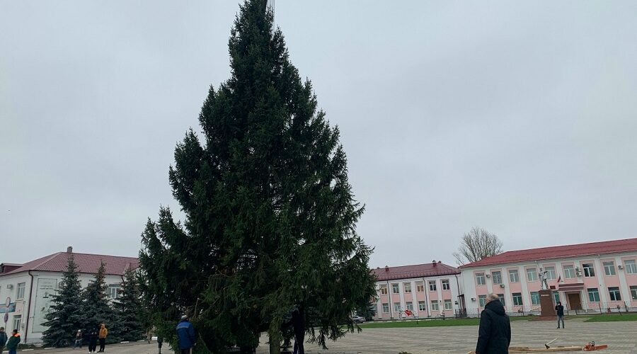 На центральной площади Стародуба установили новогоднюю красавицу