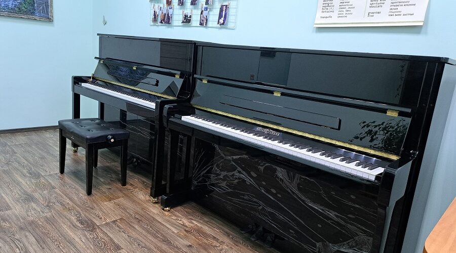 Стародубская детская школа искусств получила новые музыкальные инструменты