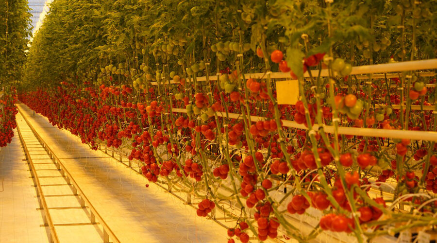 Журиничское сельское поселение развивается