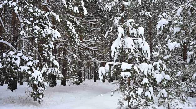 Сегодня жители Брянской области отмечают Крещенский сочельник