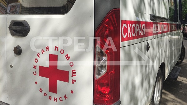 На Брянщине автопарк брянских медорганизаций обновлен на 645 автомобилей