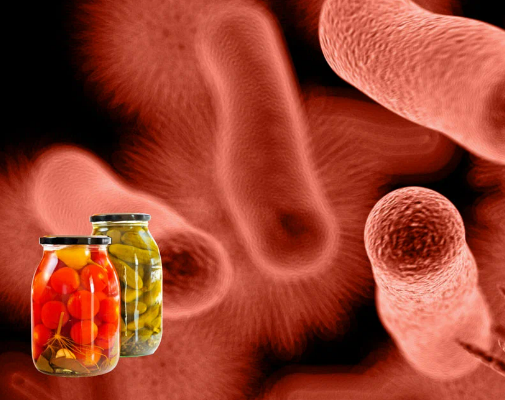 Врач-инфекционист Стародубской ЦРБ рассказывает об опасности  ботулизма