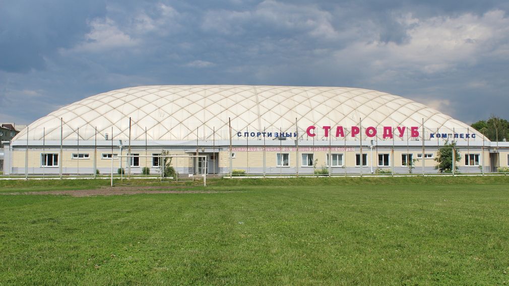 О развитии спорта в Стародубском округе рассказала заместитель директора спортивная школа Л. А. Ещенко
