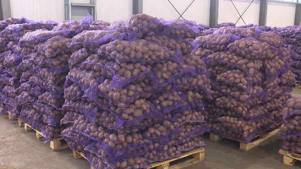 Аграрии Брянской области оказали гуманитарную помощь Приморскому краю