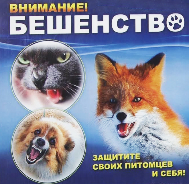 Жителям Стародубского округа напомнили о мерах профилактики бешенства