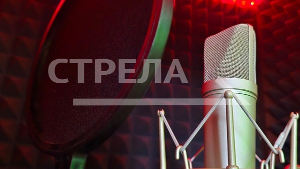 Жителей Брянска приглашают на праздничный концерт