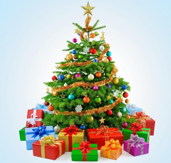 Сотрудники ОНДПР по Стародубскому округу напоминают жителям о соблюдении правил пожарной безопасности во время новогодних каникул