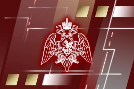 В Управлении Росгвардии по Брянской области подвели итоги служебно-боевой деятельности за 2024 год