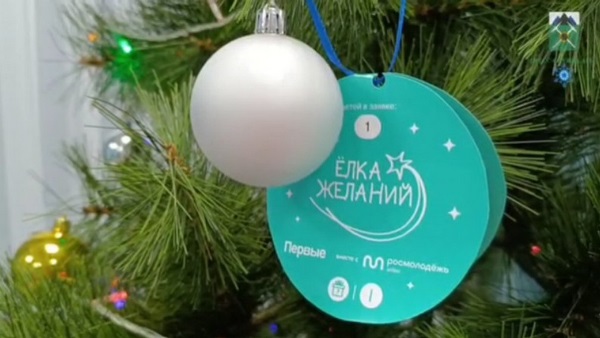 Новогодние желания детей из подшефной Брянки исполнили брянцы
