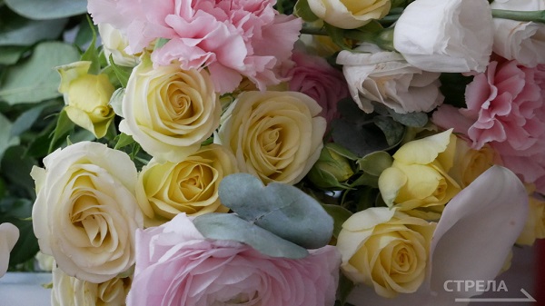 Проект «Герои Брянщины» удостоен президентского гранта