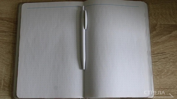 Двадцать два брянских специалиста местного самоуправления стали призёрами профессионального конкурса