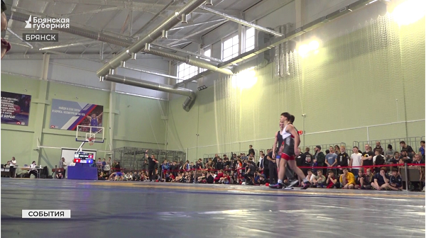 В Брянске провели турнир по вольной борьбе в честь героя СВО Дмитрия Седнева