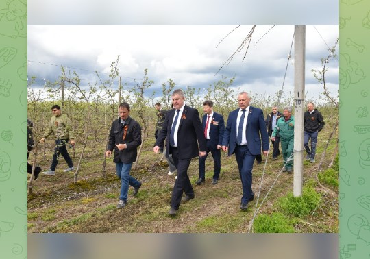 В Клетнянском районе Брянщины в рамках Всероссийской акции «Сад памяти» высадили вишни 