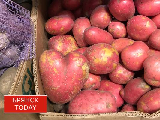 В Брянске есть секретное место с дешевым картофелем