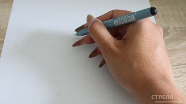 Сегодня брянские выпускники сдают ЕГЭ по истории, химии и литературе