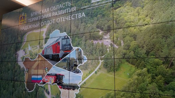 В Москве открывается выставка о Брянской области