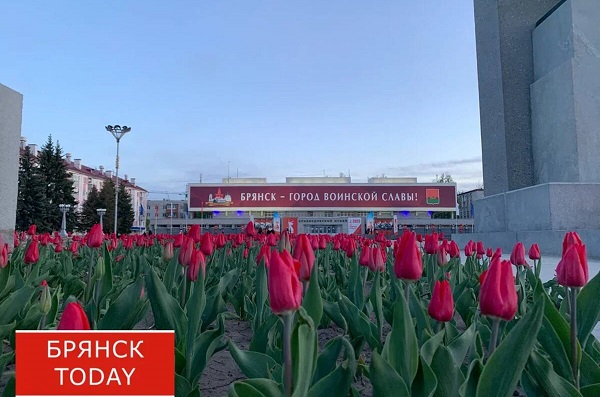 Брянщину включили в госпрограмму восстановления пострадавших территорий