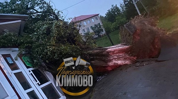 Глава Климовского района Исаев обратился к жителям из-за урагана