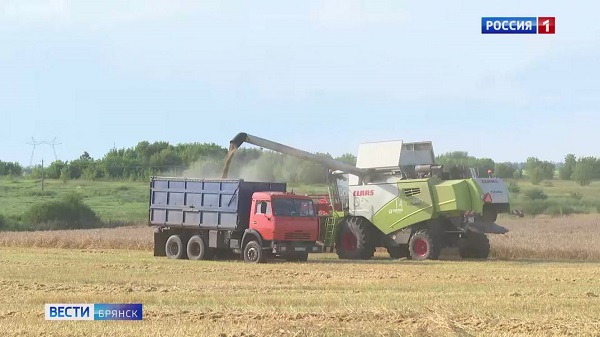 Аграрии Брянской области завершили уборку зерновых и зернобобовых культур