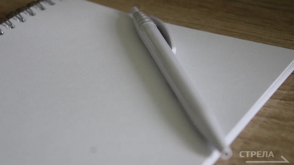 Два брянских проекта стали победителями на Всероссийском конкурсе «Моя страна — моя Россия»