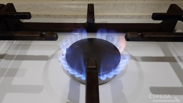 Газификация Брянской области составляет 95%