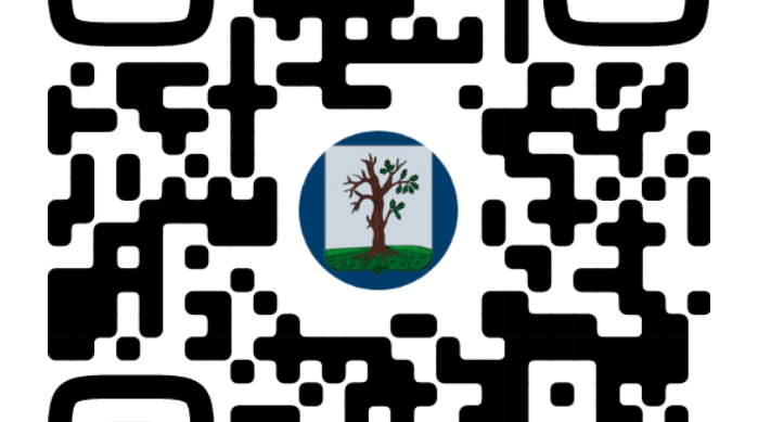 Жителей Стародубского округа знакомим с госпабликами