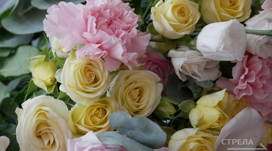 Губернатор Александр Богомаз поздравил двух брянцев с высокими государственными наградами