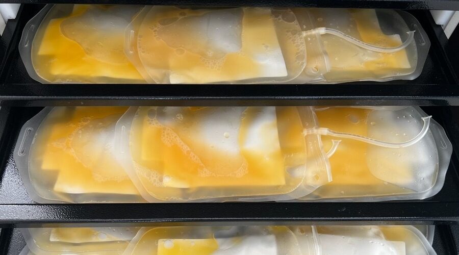 Брянские доноры за неделю помогли заготовить более 400 литров крови