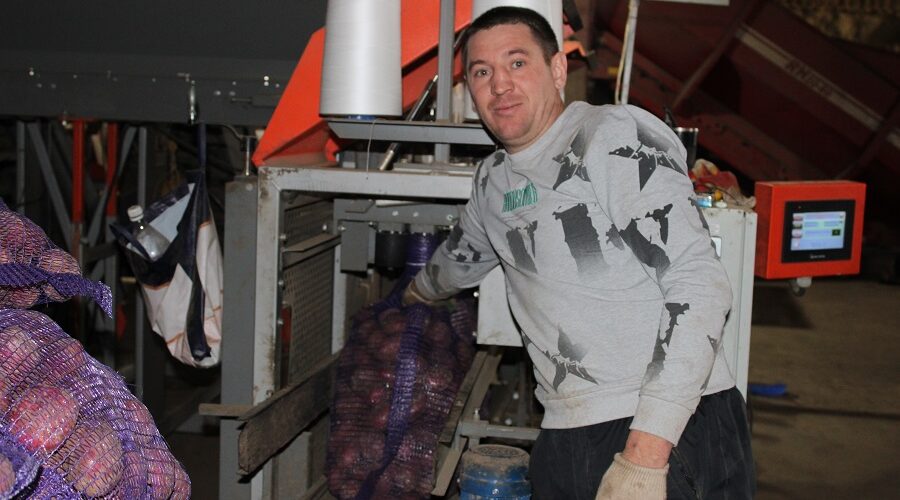 Для сельских тружеников Стародубского округа работа на земле — привычное дело с детства