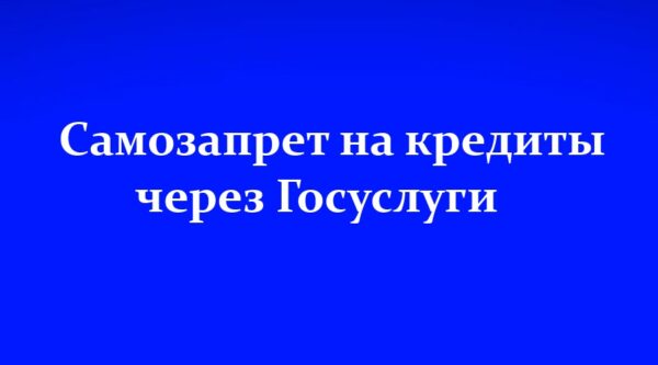 Брянцы могут установить самозапрет на кредиты через Госуслуги