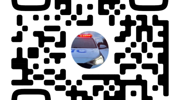 Жителей Стародубского округа знакомим с госпабликами