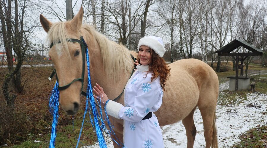 Стародубчанка нашла свою пропавшую лошадь