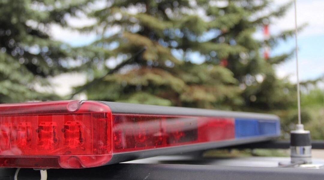 Стародубские госавтоинспекторы проведут массовую проверку водителей