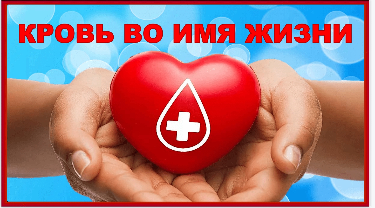 В Стародубском округе пройдёт День донора