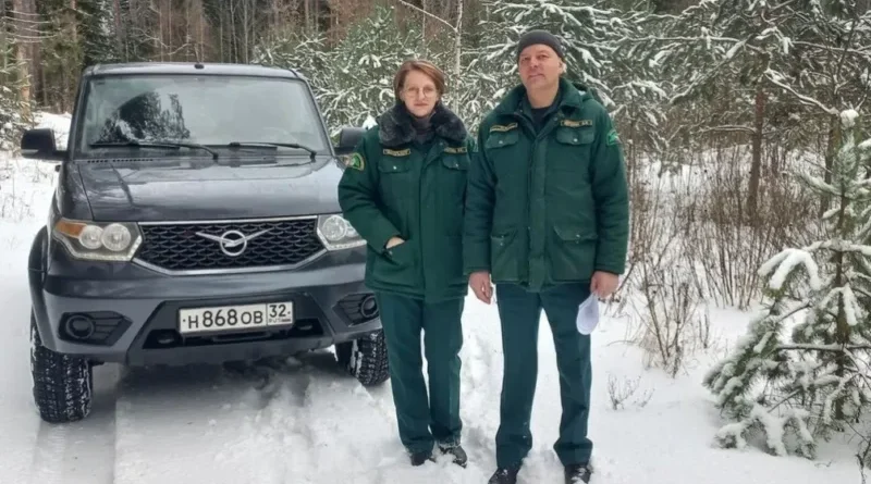 На Брянщине подвели итоги охраны новогодних елей и сосен