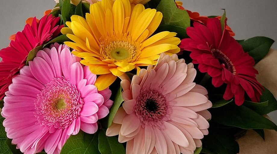 Жители Брянской области удостоены государственных наград