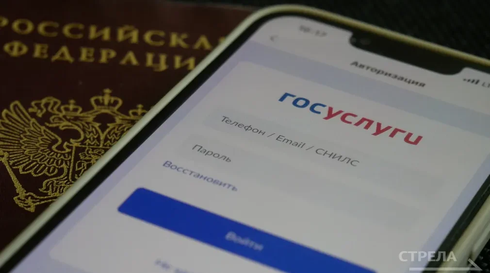 В приложении «Госуслуги. Дом» можно подать заявку на уборку снега во дворе