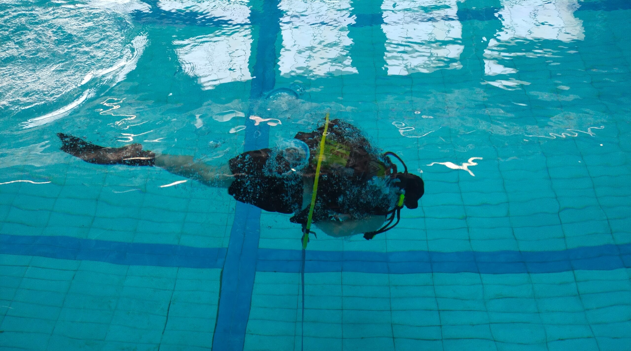 В Брянске состоялись уникальные соревнования по парадайвингу