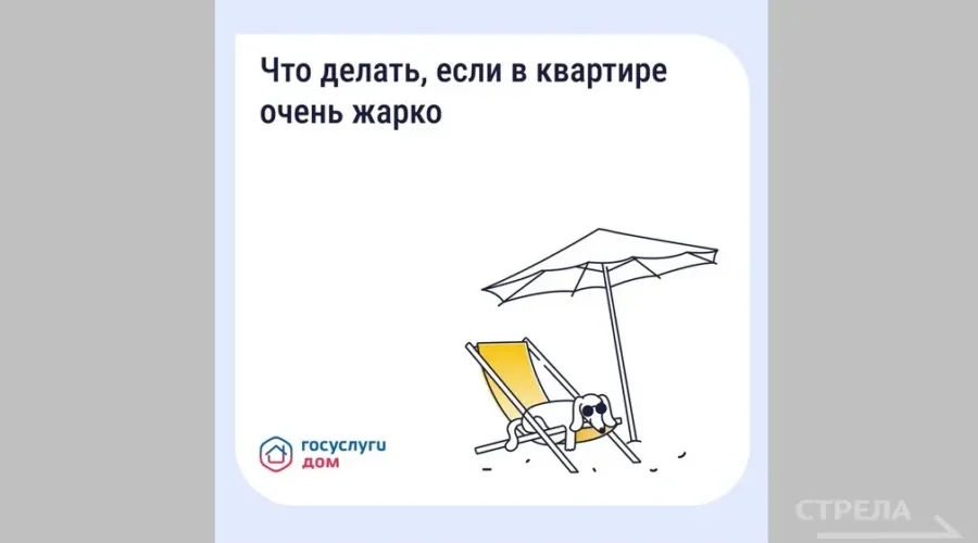 Жителям Брянщины напомнили об обновлённом сервисе «Госуслуги Дом»