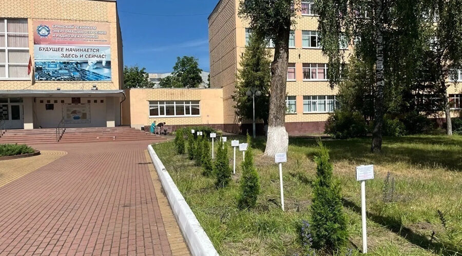 Студенты из Брянска заложили в Год единства народов России «Аллею выпускников»