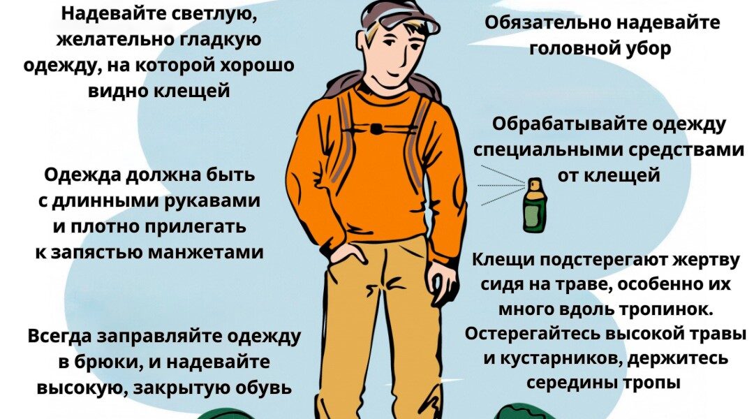 Жителям Стародубского округа рассказали, как избежать укусов клещей